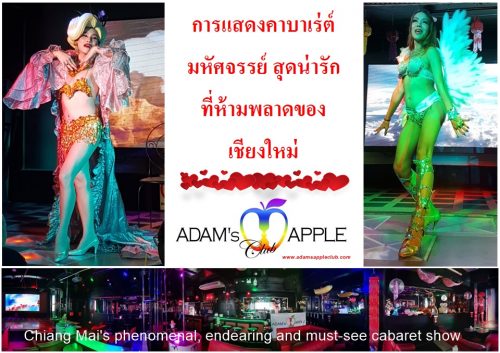 World-class entertainment in Chiang Mai Adam's Apple Club cozy and unique Nightclub in Northern Thailand, gay friendly Venue with Live Shows