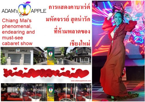 World-class entertainment in Chiang Mai Adam's Apple Club cozy and unique Nightclub in Northern Thailand, gay friendly Venue with Live Shows