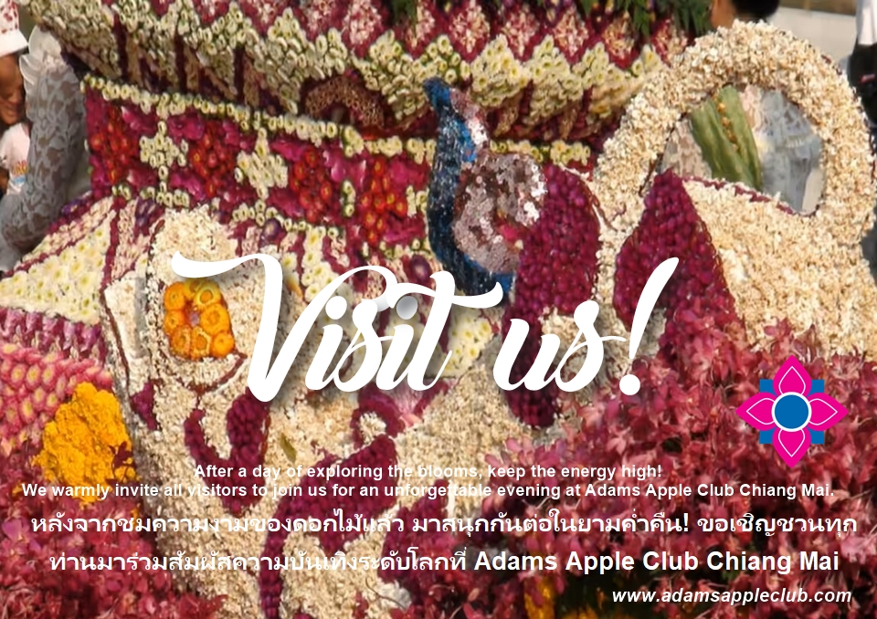 เทศกาลดอกไม้บานเชียงใหม่ ครั้งที่ 49! - อดัมแอ๊ปเปิ้ลคลับเชียงใหม่ หลังจากชมความงามของดอกไม้แล้ว มาสนุกกันต่อในยามค่ำคืน!