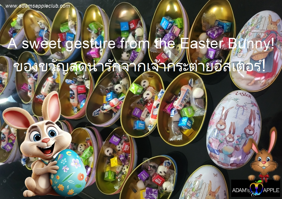 เซอร์ไพรส์อีสเตอร์มาแล้ว! - อดัมแอ๊ปเปิ้ลคลับเชียงใหม่ เจ้ากระต่ายนำขนมมาฝากแขกคนพิเศษและหนุ่มๆ Adam’s Apple ของเราด้วยนะ ห้ามพลาดเชียว!