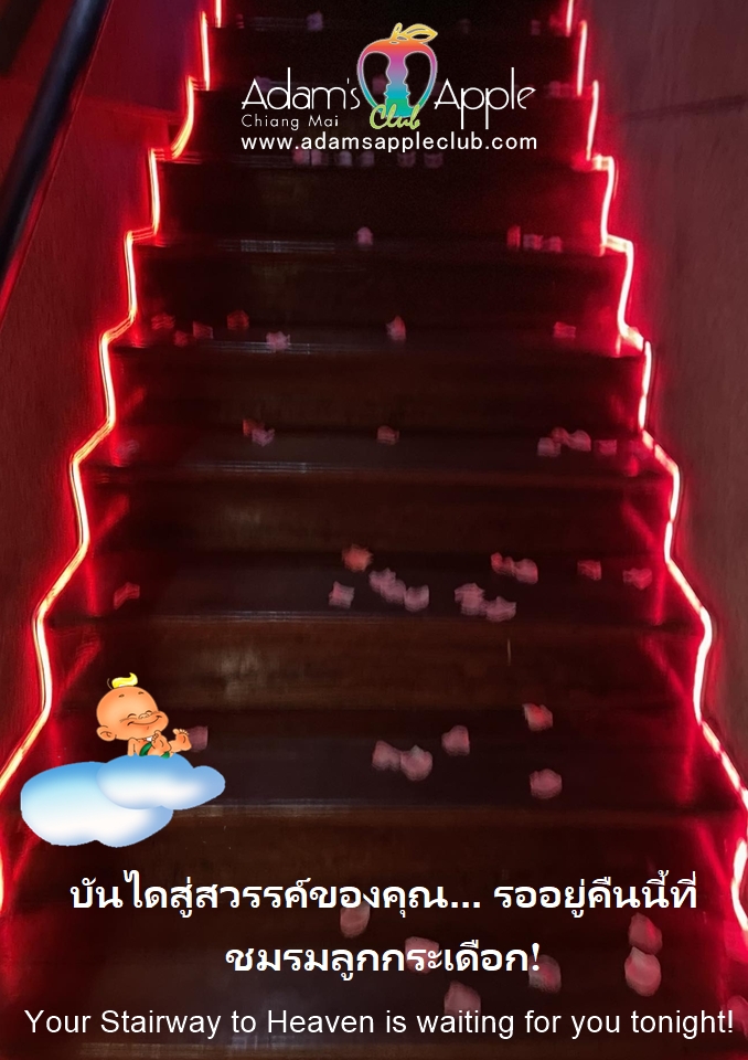 บันไดสู่สวรรค์ของคุณ - อดัมแอ๊ปเปิ้ลคลับเชียงใหม่ ชวนเพื่อนของคุณให้พร้อม แล้วมาสร้างความทรงจำสุดประทับใจไปด้วยกันคืนนี้!