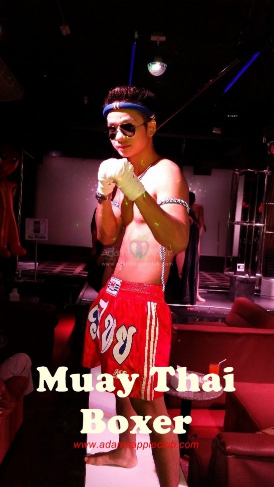 Muay Thai Boxer