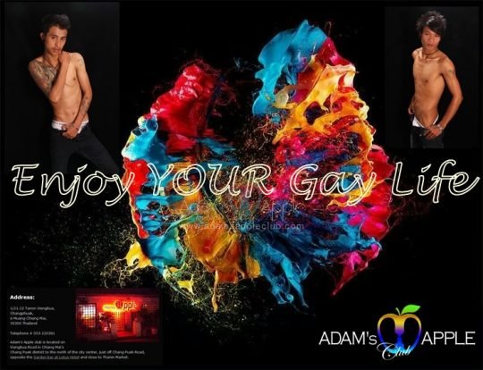 Adams Apple Club Gay Life Chiang Mai No. 1 Gay Bar