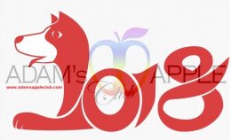 New Year 2018 Adams Apple Club Chiang Mai