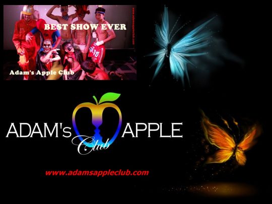 Great Week Adams Apple Club Chiang Mai 