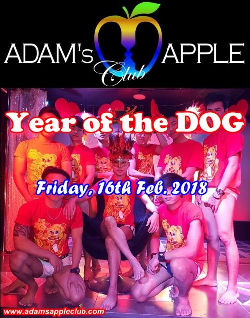 Chinese New Year Adams Apple Club Chiang Mai Year of the Dog