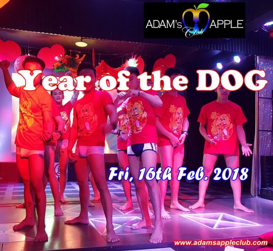 Chinese New Year Adams Apple Club Chiang Mai Year of the Dog