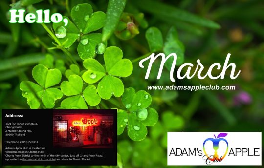 Adams Apple Club Chiang Mai March 2018