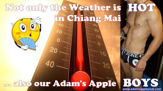 Sooo... HOT BOYS Adams Apple Club Chiang Mai