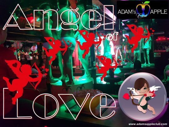 Angel of Love Adam's Apple Club Chiang Mai