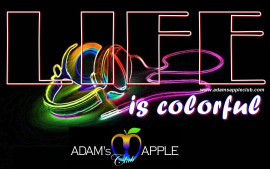 LIFE is colorful Adams Apple Club Chiang Mai