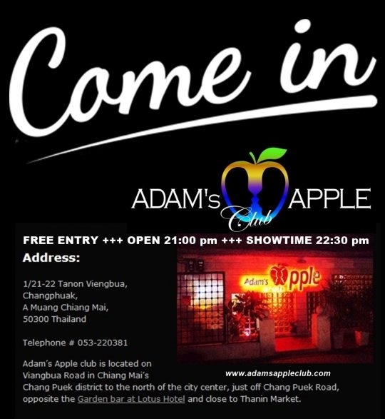 Welcome to Adams Apple Club Chiang Mai