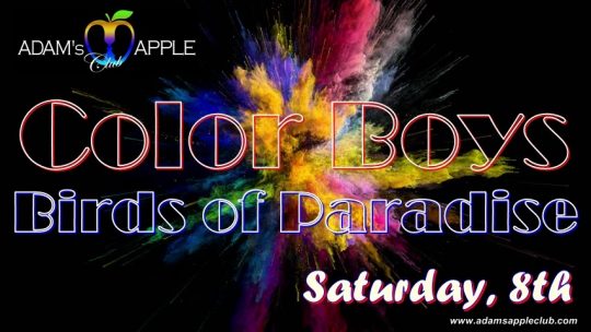 Color Boys - Birds of Paradise Adams Apple Club