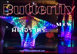 Butterflies ผีเสื้อราตรี Adam's Apple Club Chiang Mai
