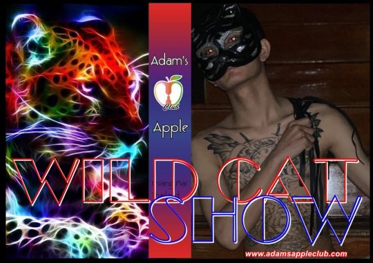 Wild Cat Show Adams Apple Club