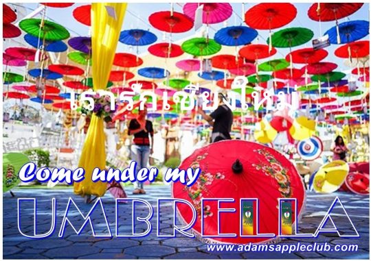Come under my Umbrella Chiang Mai, Thailand