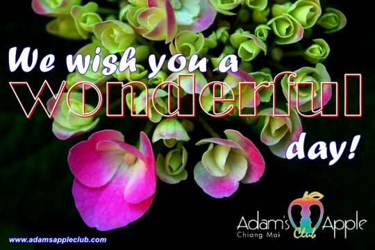 We wish you a wonderful day! Adams Apple Club