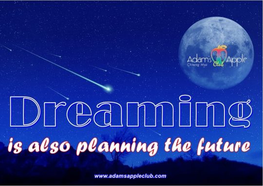 Dreaming is also planning the future