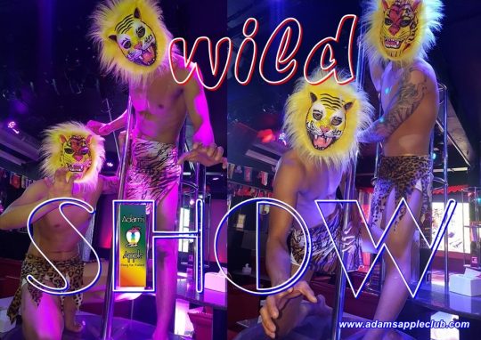 Wild Show Adams Apple Gay Club Chiang Mai Host Bar