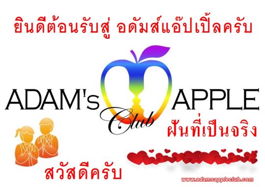 Dreams come true Adams Apple Club Gay Bar Chiang Mai