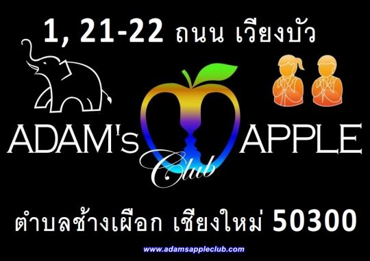 Location Gay Bar Chiang Mai Adams Apple Club