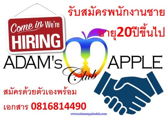 Job offer Adams Apple Club Chiang Mai