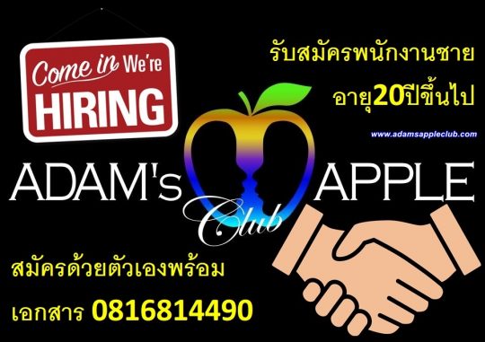 Job offer Adams Apple Club Chiang Mai
