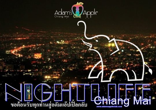 Nightlife Chiang Mai Adams Apple Club Chiang Mai
