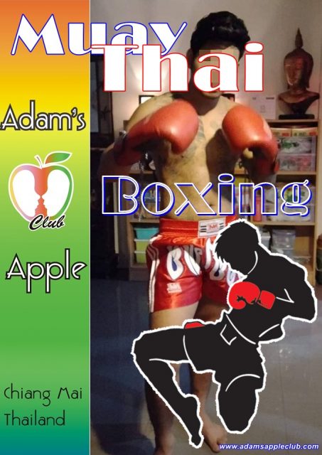 Muay Thai Boxing Performance Adams Apple Club Chiang Mai Host Bar Gay Bar Thailand