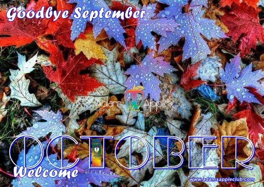 WELCOME OCTOBER 2020! Our Team wish YOU a beautiful OCTOBER 2020! Enjoy YOUR Gay Life in Chiang Mai. Adult Entertainment Go-Go Bar