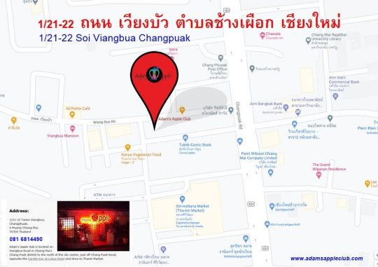 The Way to us! Location Gay Bar Chiang Mai Adams Apple Club Adult Entertainment Nightclub Go-Go Bar with live Shows Ladyboy Cabaret and handsome Asianboys
