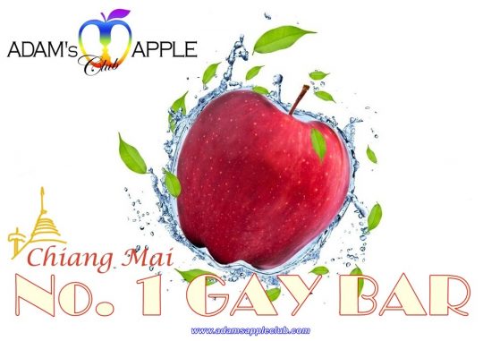 Gay Bar in Chiang Mai Adams Apple Club Adult Entertainment Thailand Live Shows Ladyboy Cabaret Host Bar Nightclub Go-Go Bar Asian Boys LGBTQ