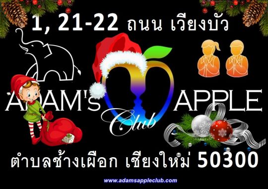 Christmas time with us at Adam's Apple Club in Chiang Mai Adult Entertainment Host Bar Gay Bar Nightclub Nightlife Ladyboy Cabaret Kathoy