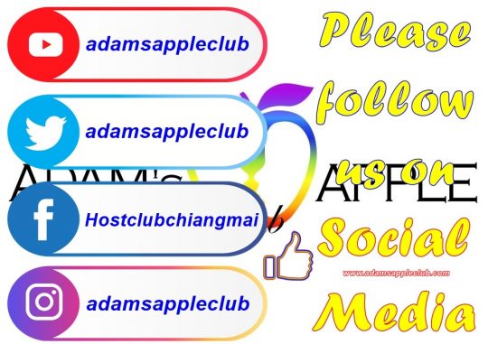Bar Gay Chiang Mai Social Media Adams Apple Club Nightclub Bar Gay บาร์โฮสสันติธรรม บาร์เกย์เชียงใหม่ Adult Entertainment Ladyboy Show
