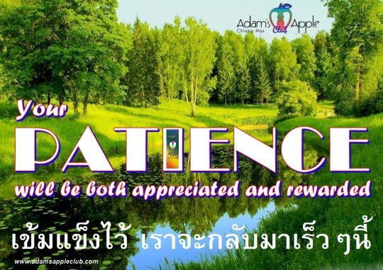 Your PATIENCE will be both appreciated and rewarded We will be back soon Adams Apple Club Chiang Mai Bar Gay Host Club Ladyboy Show