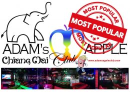 Popular Bar Chiang Mai Adams Apple Club Adult Male Entertainment Nightclub with Liveshow Ladyboys Cabaret Asianboys Host Bar Gay Club Thai Boy