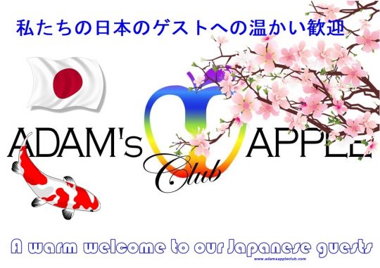 Japan - Nippon Adams Apple Club Chiang Mai Adult Entertainment A warm welcome to our Japanese guests Nightclub Ladyboy Liveshow LGBTQ