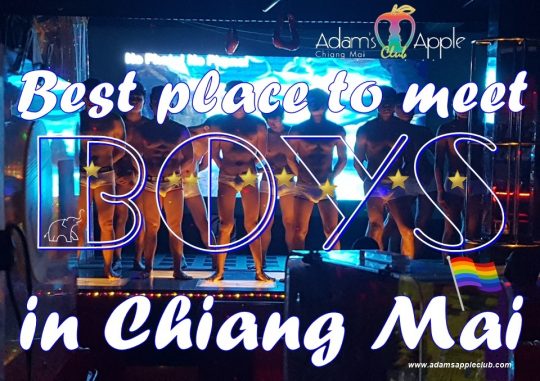 Meet BOYS in Chiang Mai Adams Apple Club Adult Entertainment popular Show Bar Ladyboy Cabaret Asian Boys Host Club Nightclub Thai Boys LGBTQ