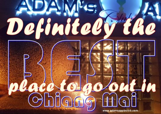 Go out in Chiang Mai Definitely the BEST place Adams Apple Club Adult Male Entertainment with Ladyboy Liveshow Host Bar Gay Club Nightclub LGBTQ