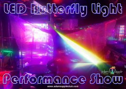 LED Butterfly Light Performance Show Adult Entertainment Chiang Mai Thailand Ladyboy Liveshow Asian Boys Nightclub men entertain men Gay Bar Host Club