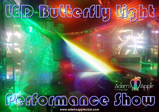 LED Butterfly Light Performance Show Adult Entertainment Chiang Mai Thailand Ladyboy Liveshow Asian Boys Nightclub men entertain men Gay Bar Host Club