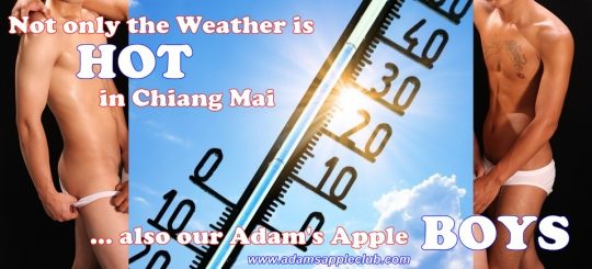 Not only the Weather is HOT in Chiang Mai ... also our Adam's Apple BOY Host Bar - Gay Club - Clubbing - Nightclub - Nightlife - Nighttime Entertainment