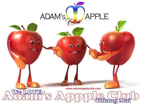 We all LOVE Adam’s Apple Club Ching Mai Gay Host Bar. The gay scene in Chiang Mai has been owned by Adam’s Apple Club for many years.