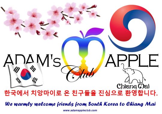 Welcome South Korea Adam's Apple Club Chiang Mai Gay Bar Thailand Host Bar gay friendly Asian Boy LGBTQ Lady Boys Adult Entertainment