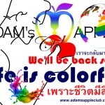 Colorful LIFE Adam's Apple Club Chiang Mai Gay Bar Thailand gay friendly Nightclub Asian Boys Lady Boys Cabaret Adult Entertainment