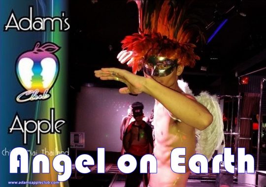 Our Angel on Earth Chiang Mai Adams Apple Club Show Bar Thailand OPEN every Night 9:00 PM and our unique Show START every Night 10:00 PM