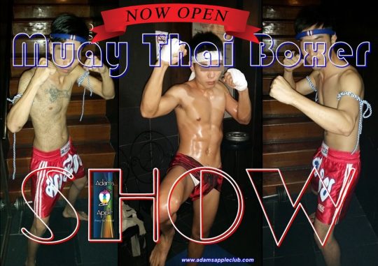 MUAY THAI Boxer Adams Apple Club Chiang Mai Don’t miss the hottest “MUAY THAI Boxer Show” in town @ Adams Apple Club Chiang Mai.