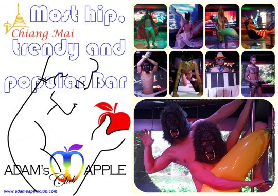 Trendy Bar Chiang Mai hip and popular “Adam’s Apple Club” This unique Show Bar OPEN every Night 9:00 PM and the Show START 10:00 PM.