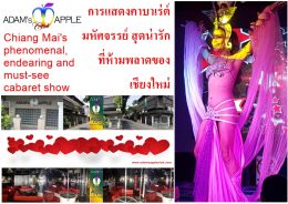 Chiang Mai's most friendly Gay Cabaret Show Bar, phenomenal, endearing and must-see OPEN every Night 9:00 PM and the Show START 10:00 PM