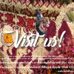 เทศกาลดอกไม้บานเชียงใหม่ ครั้งที่ 49! - อดัมแอ๊ปเปิ้ลคลับเชียงใหม่ หลังจากชมความงามของดอกไม้แล้ว มาสนุกกันต่อในยามค่ำคืน!